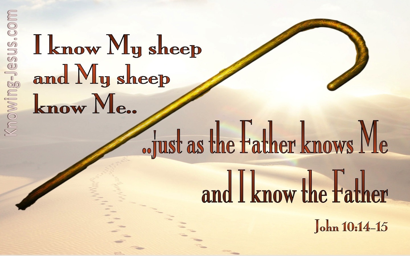 John 10:14 I Know My Sheep And My Sheep Know Me (white)